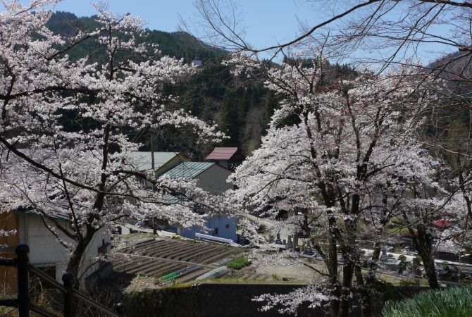 image050