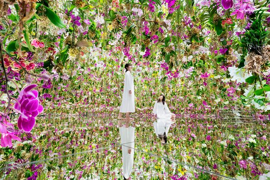 teamLab Planets Toyosu Tokyo